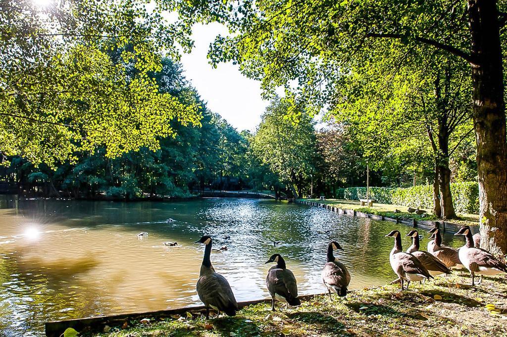 Le Clos Des Vignes Neuville-Bosc Bagian luar foto